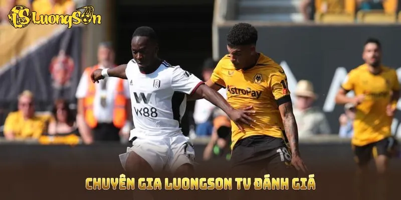 Chuyên gia Luongson TV đánh giá trận đấu giữa Wolves vs Fulham
